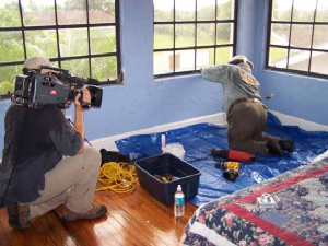 bee removal, willie the bee man, bees,swarm